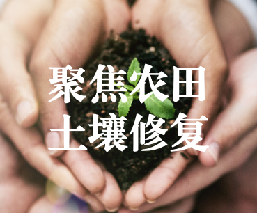 聚焦農(nóng)田土壤修復(fù)，保障糧食產(chǎn)品安全 ——踔厲奮發(fā)、篤行不怠，以?shī)^斗之姿獻(xiàn)禮黨的二十大